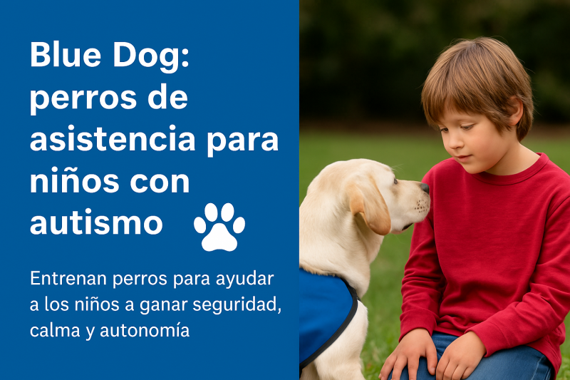 🐾 Blue Dog: perros de asistencia para niños con autismo
